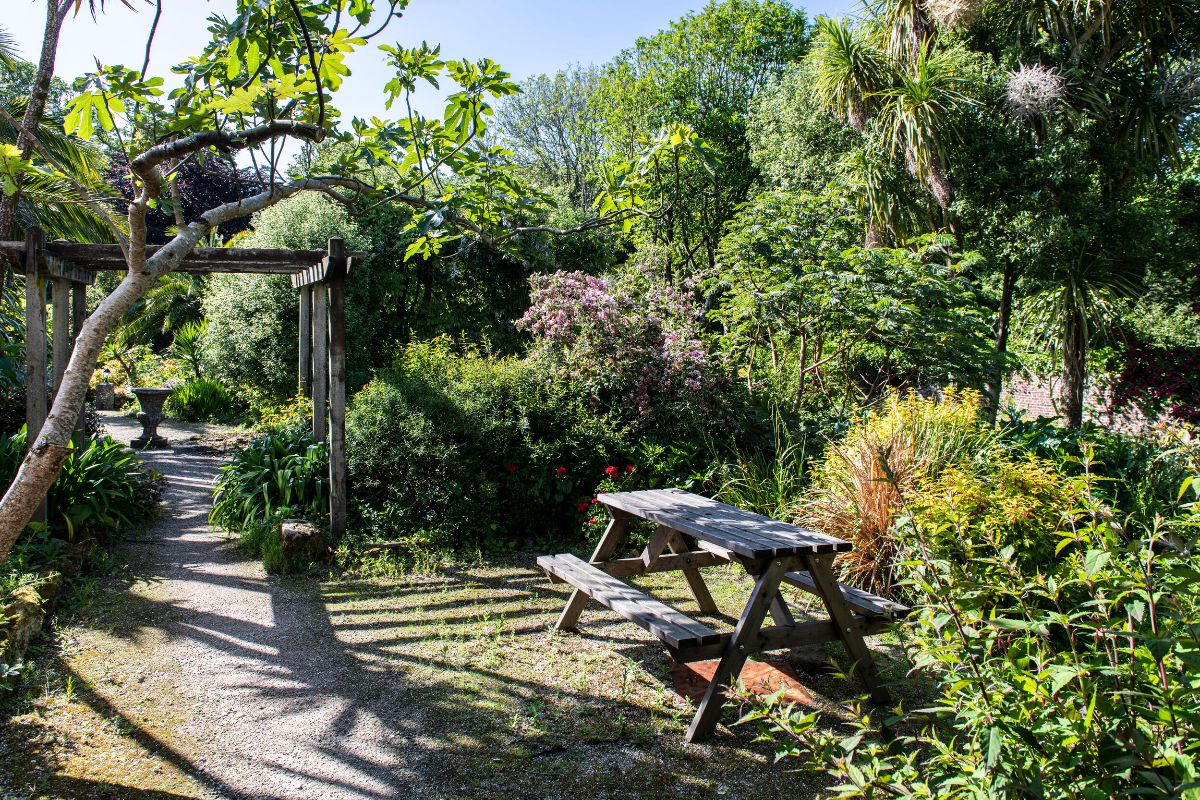 Gallery Item 9 for Tregenna Castle Hotel