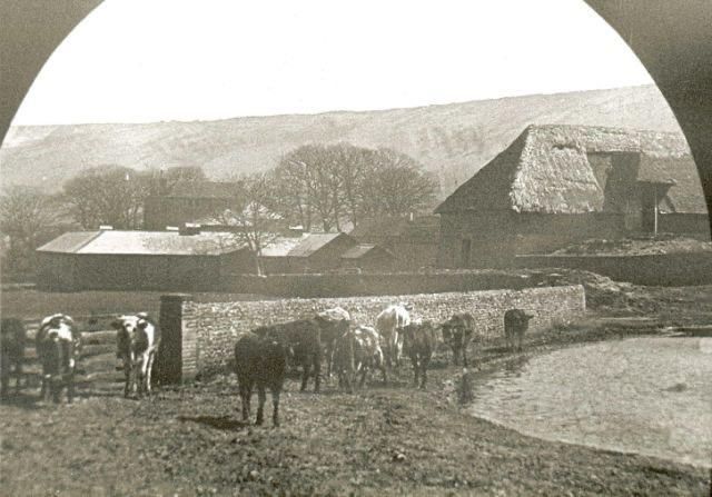 Gallery Item 10 for Farthingloe Barn
